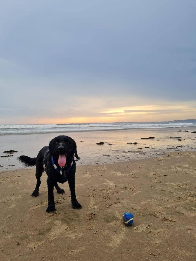 נית' Old Road Cottage Pet Friendly Outdoors Beaches מראה חיצוני תמונה